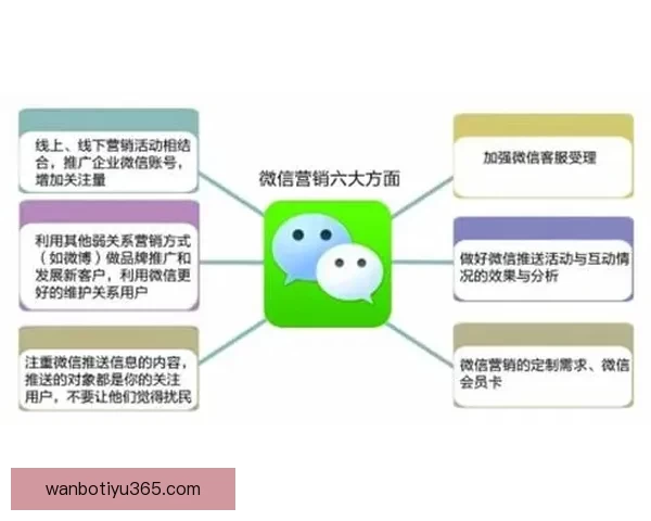 万博体育手机版助力用户畅享全球体育赛事精彩时刻的创新体验